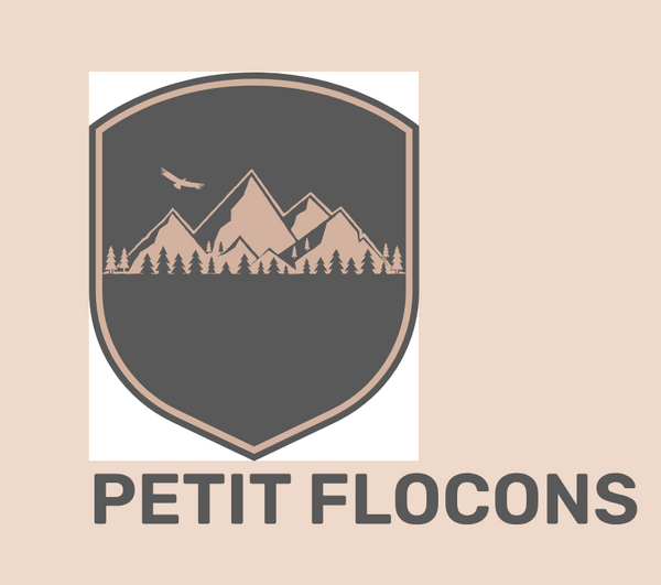 petit flocon